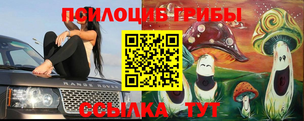 Галлюциногенные грибы прущие грибы Арсеньев